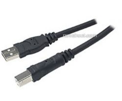 Belkin Hi-Speed USB 2.0 Cable USB-A to USB-B - 10' (3 m)