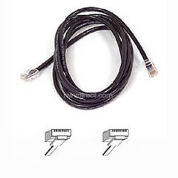 Belkin 14' FastCAT Ethernet Patch Cable, Black A3L850