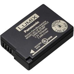 Panasonic DMW-BLD10 Rechargeable Lithium-ion Battery (7.2V, 1010mAh)