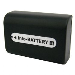 Sony Cyber-shot DSC-HX100V DSC-HX200V Digital Camera Battery - Premium NP-FH50 Battery 