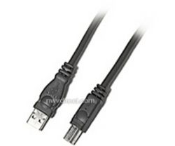 Belkin Pro Series Hi-Speed USB 2.0 A Male to B Male Cable - 6 ft