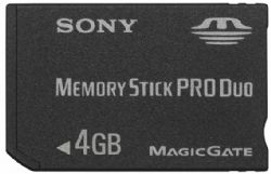 Sony 4 GB Memory Stick PRO Duo (MSX-M4GS) 