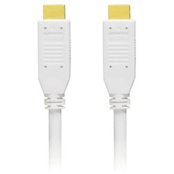 Panasonic RP-CDHG-100 HDMI Cable (33 Feet, White Finish)