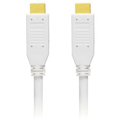 Panasonic RP-CDHG-100 HDMI Cable (33 Feet, White Finish)